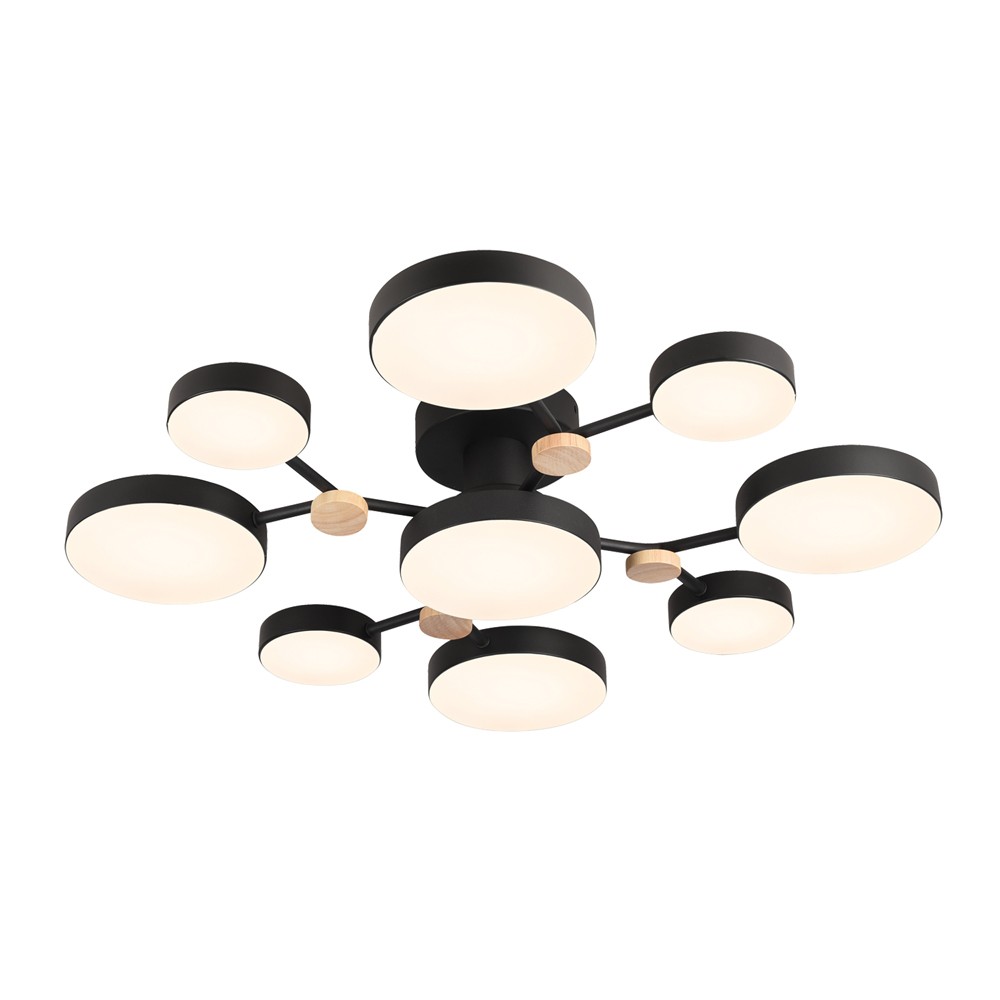 Потолочный светильник LED4U L3201-780 BK - вид 2