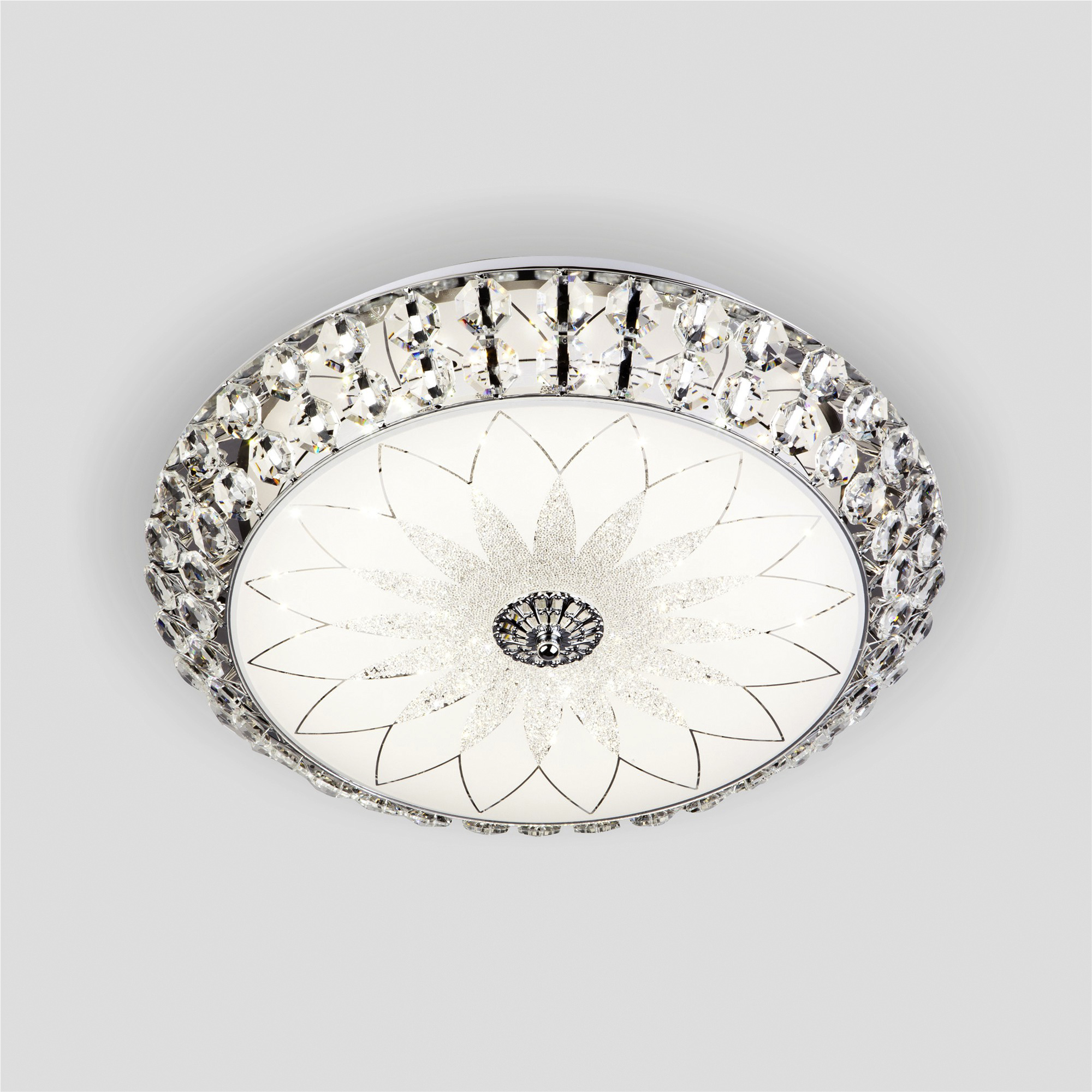 437_1111~500 CR (2).jpg