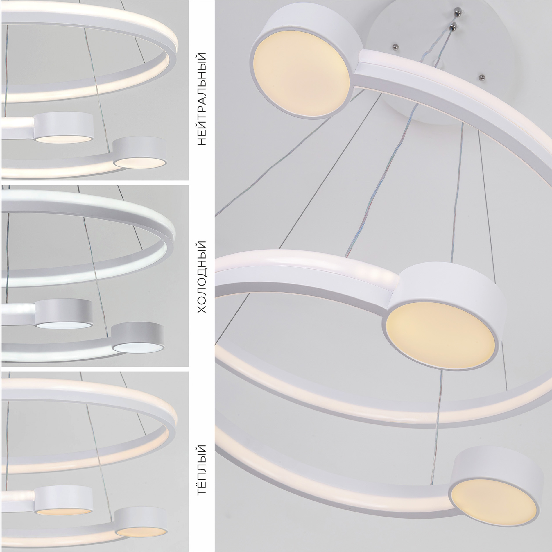 7100-2L WT (2).jpg