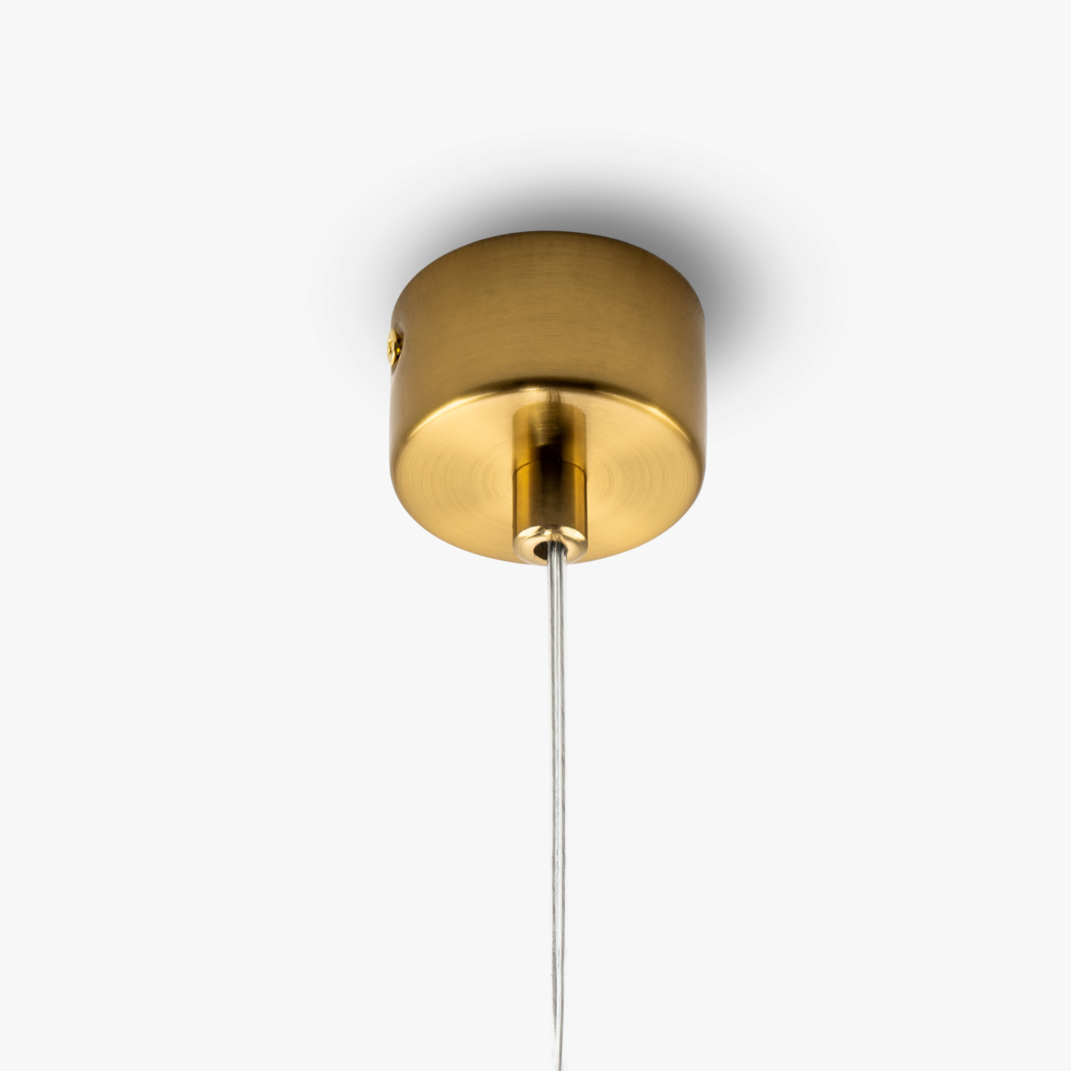ML.88955.1-SM-(3).jpg