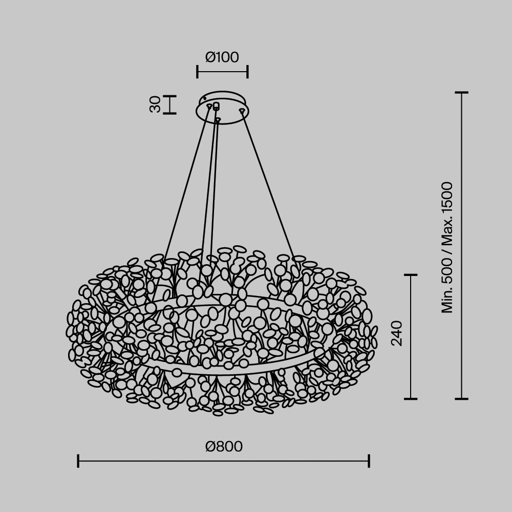 MS.9029.20_CR_dr.jpg