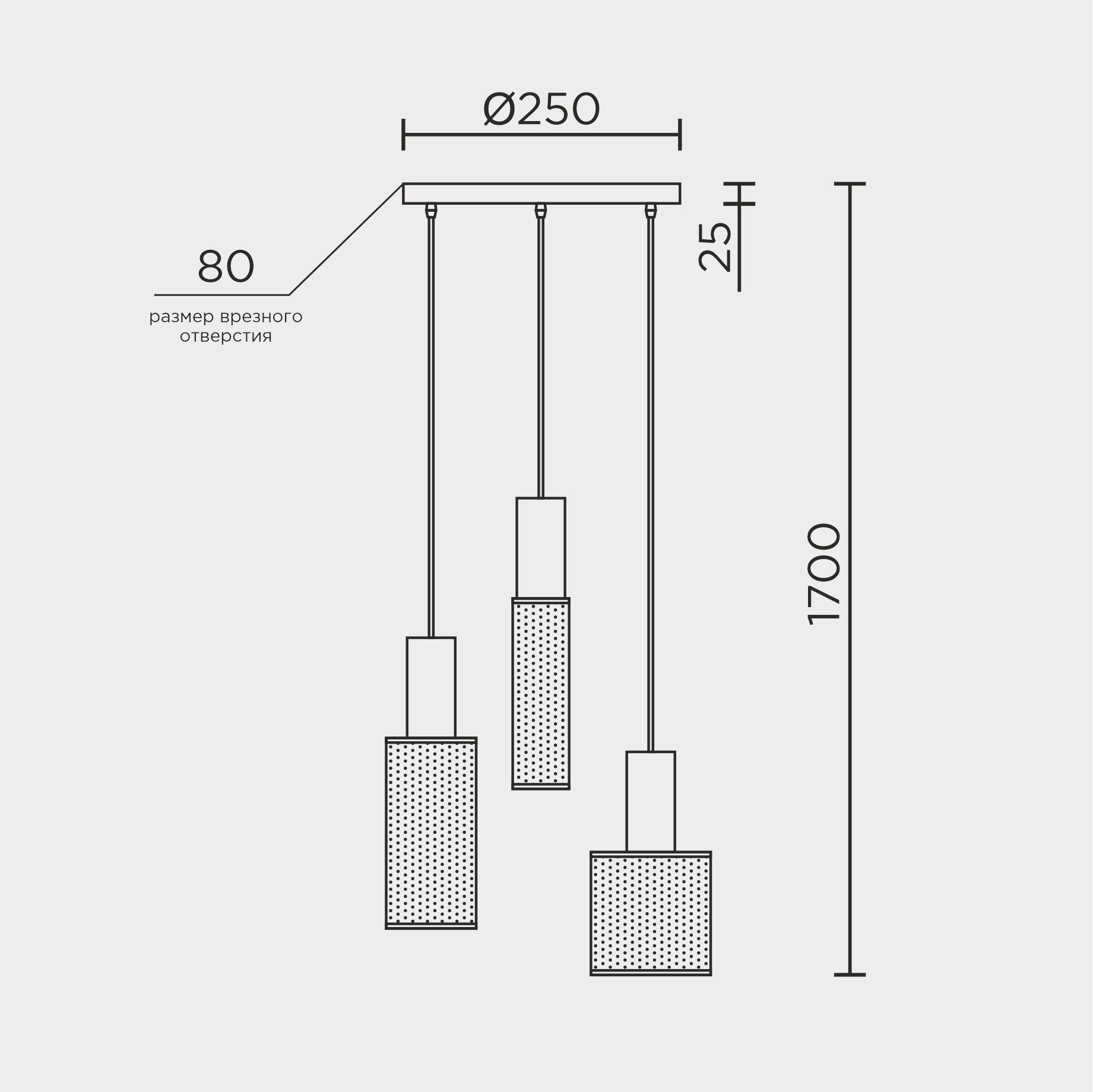 MD.0655.250.jpg