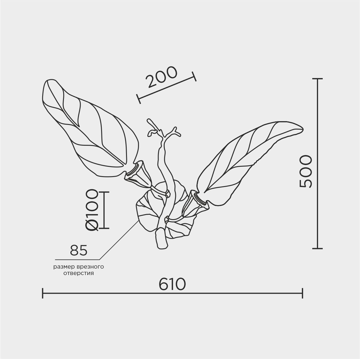 ML.6800.02P.jpg