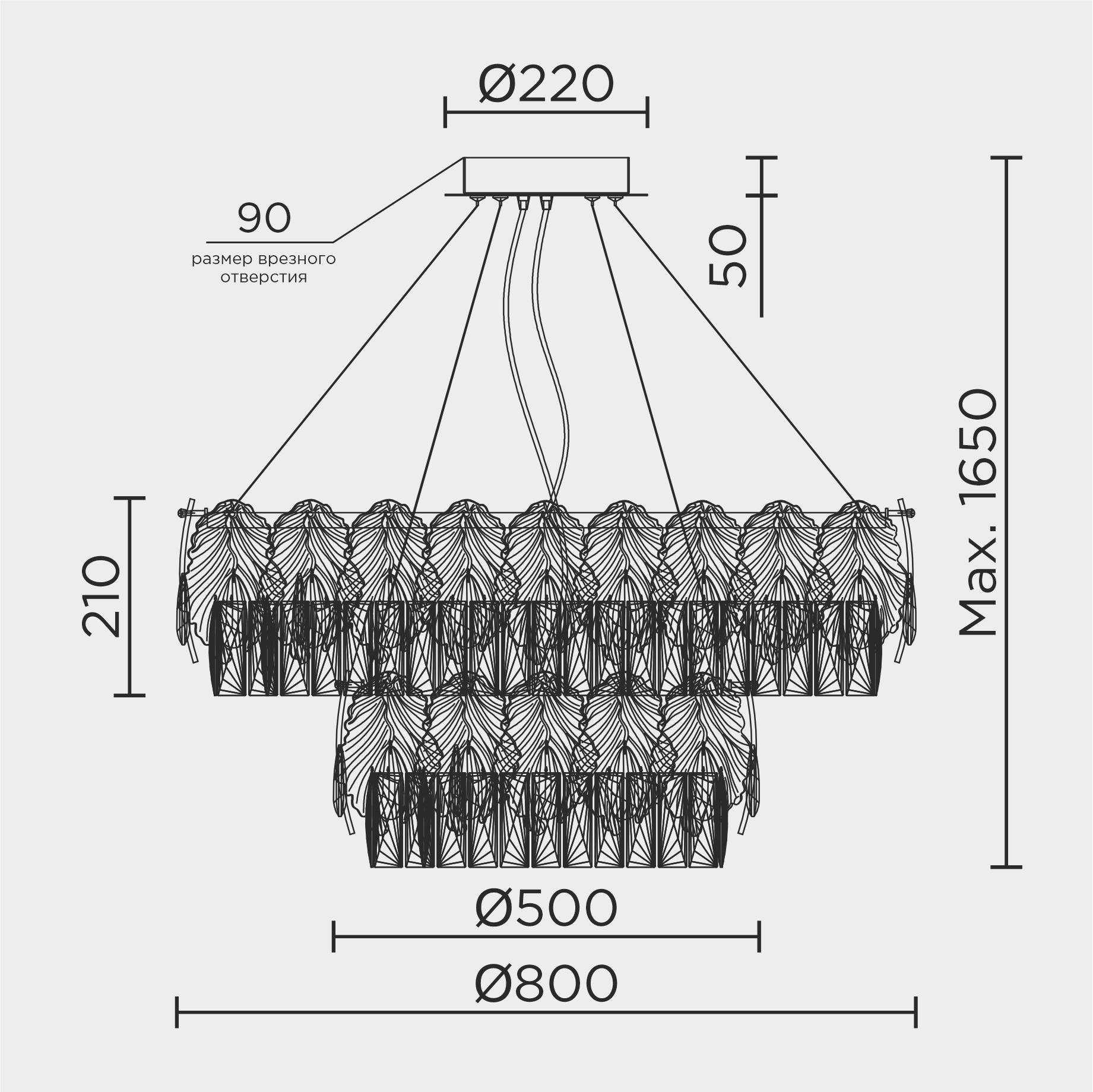 ML.7445.800.500.jpg
