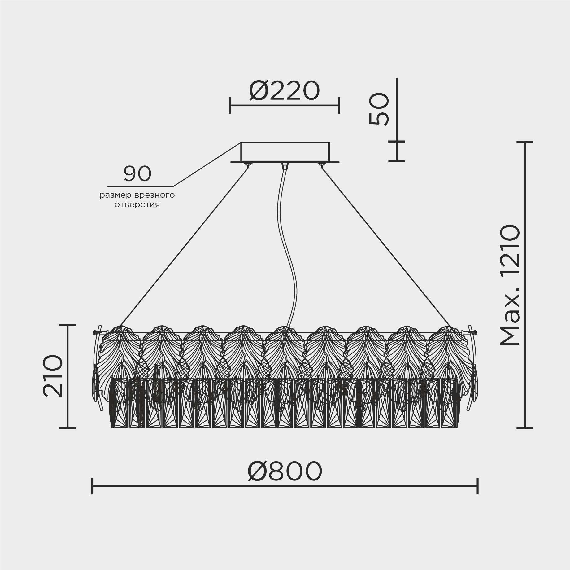 ML.7445.800.jpg