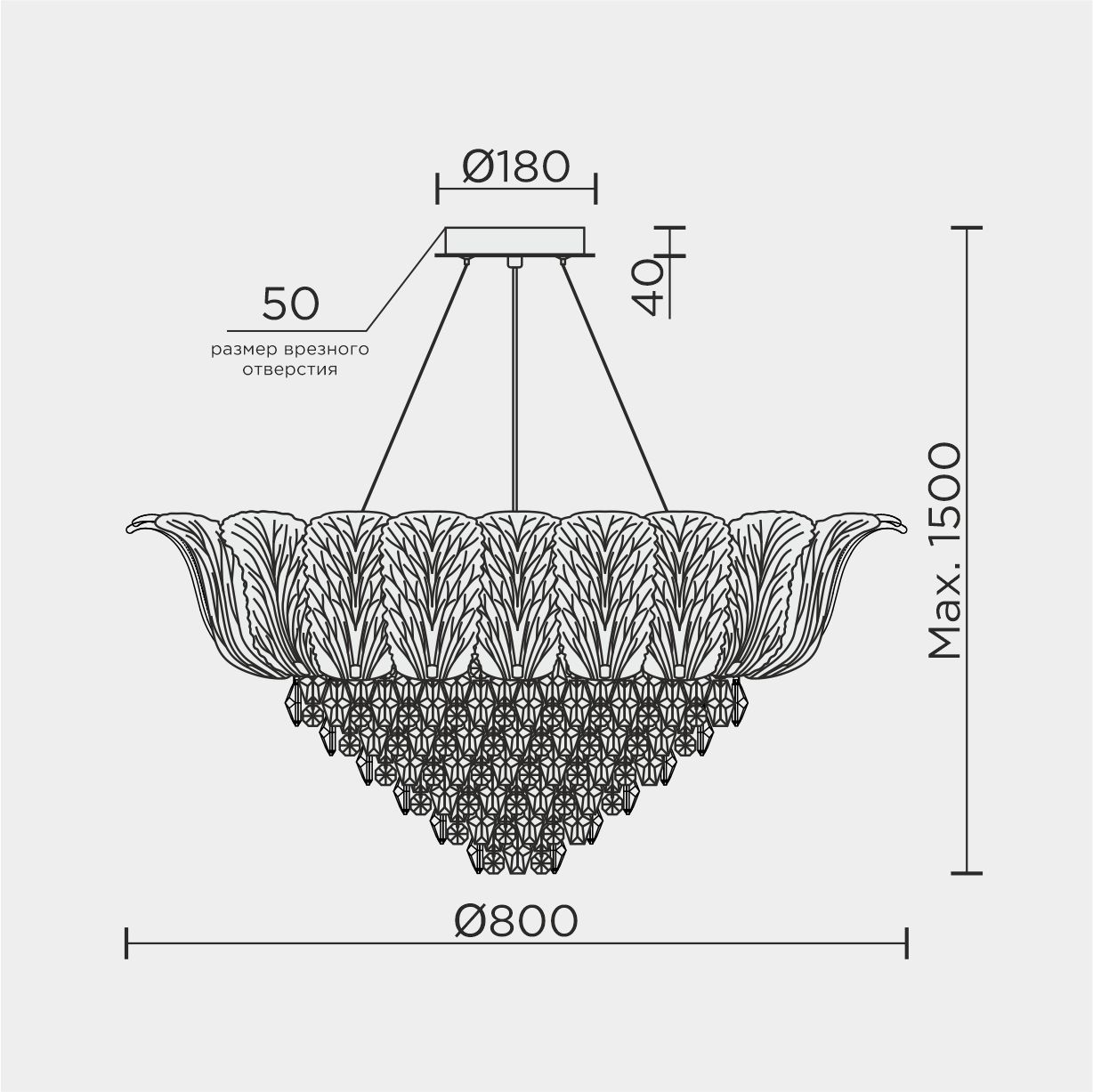 ML.6550.17P.jpg
