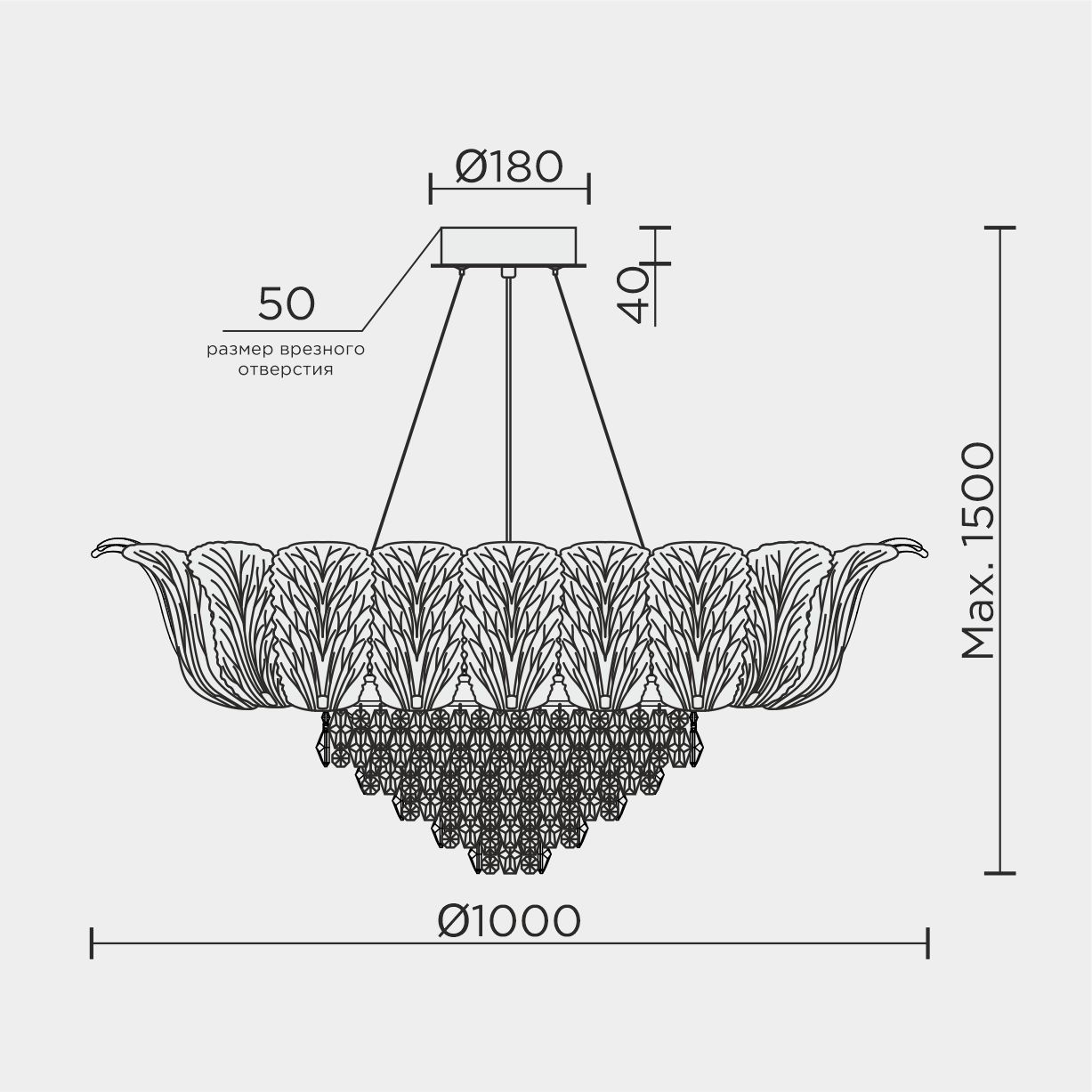 ML.6550.25P.jpg