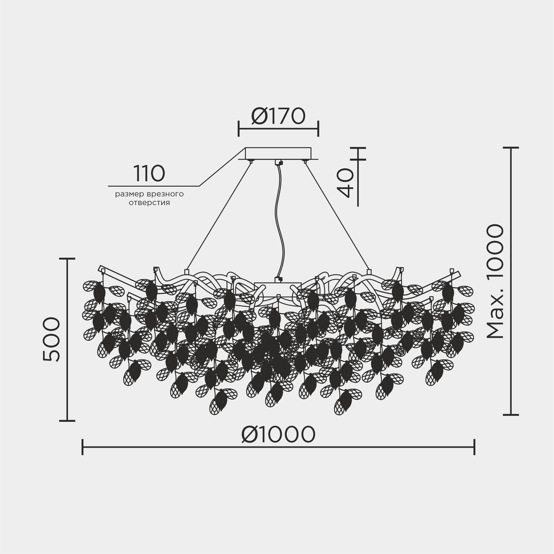 MS.2111.1000.jpg
