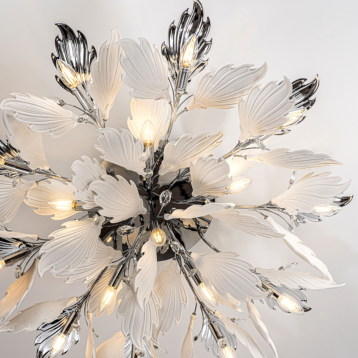 ML.6869.1000 CR (5).jpg