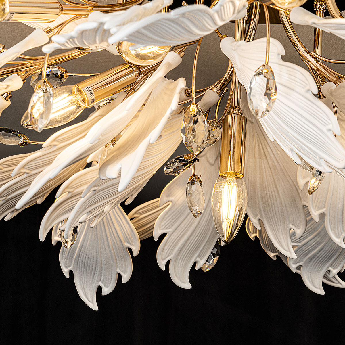 ML.6869.850 GD (5).jpg