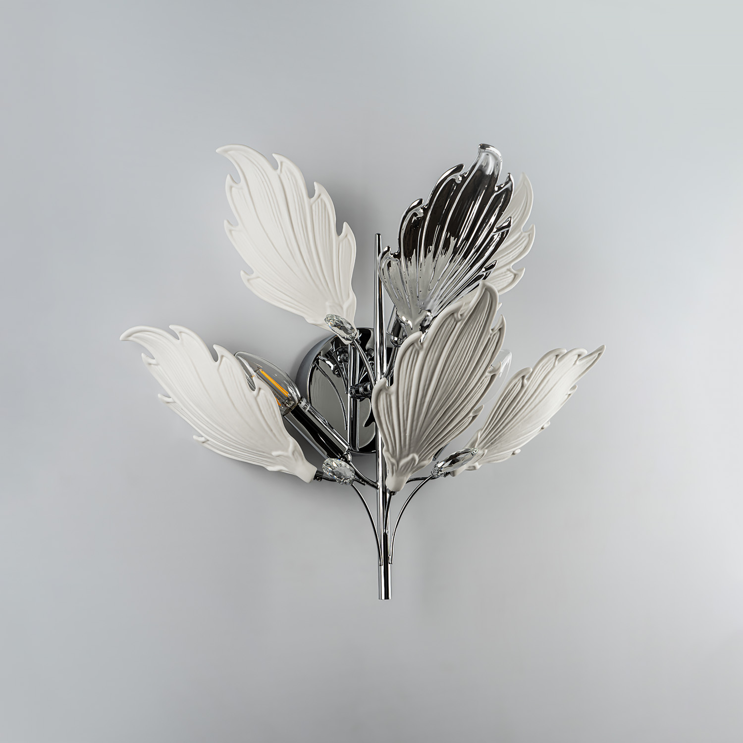 ML.6869.450 CR (3).jpg