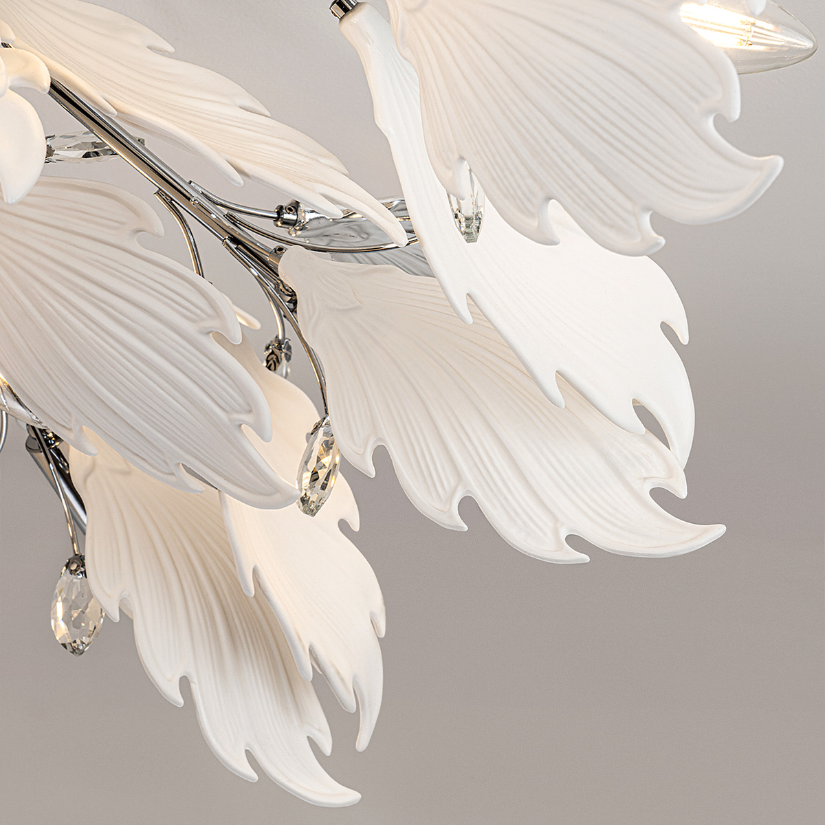 ML.6869.1000 CR (6).jpg