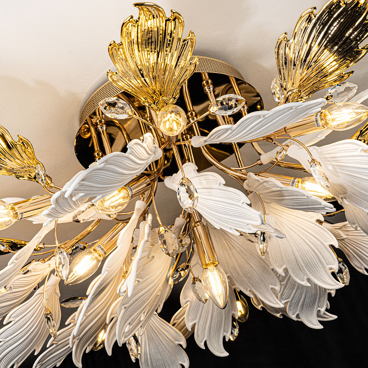 ML.6869.850 GD (3).jpg