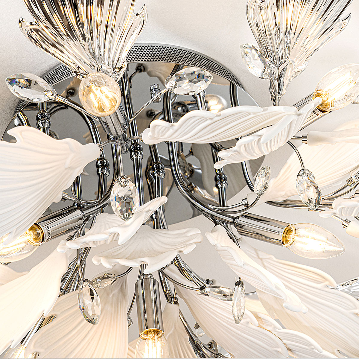 ML.6869.850 CR (3).jpg