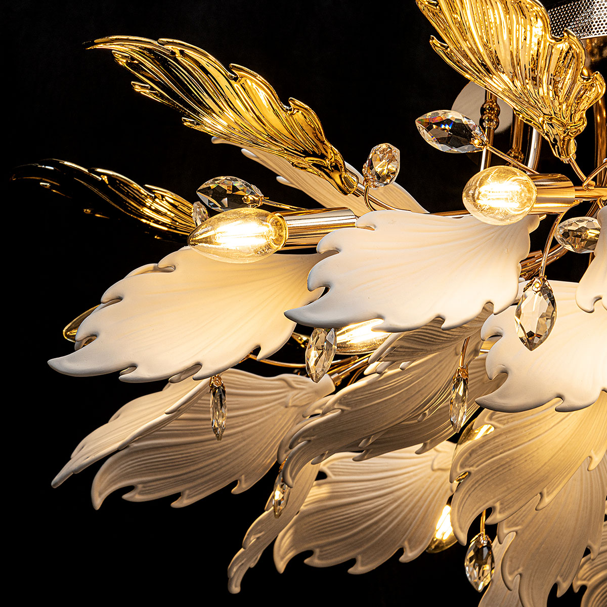 ML.6869.1000 GD (4).jpg