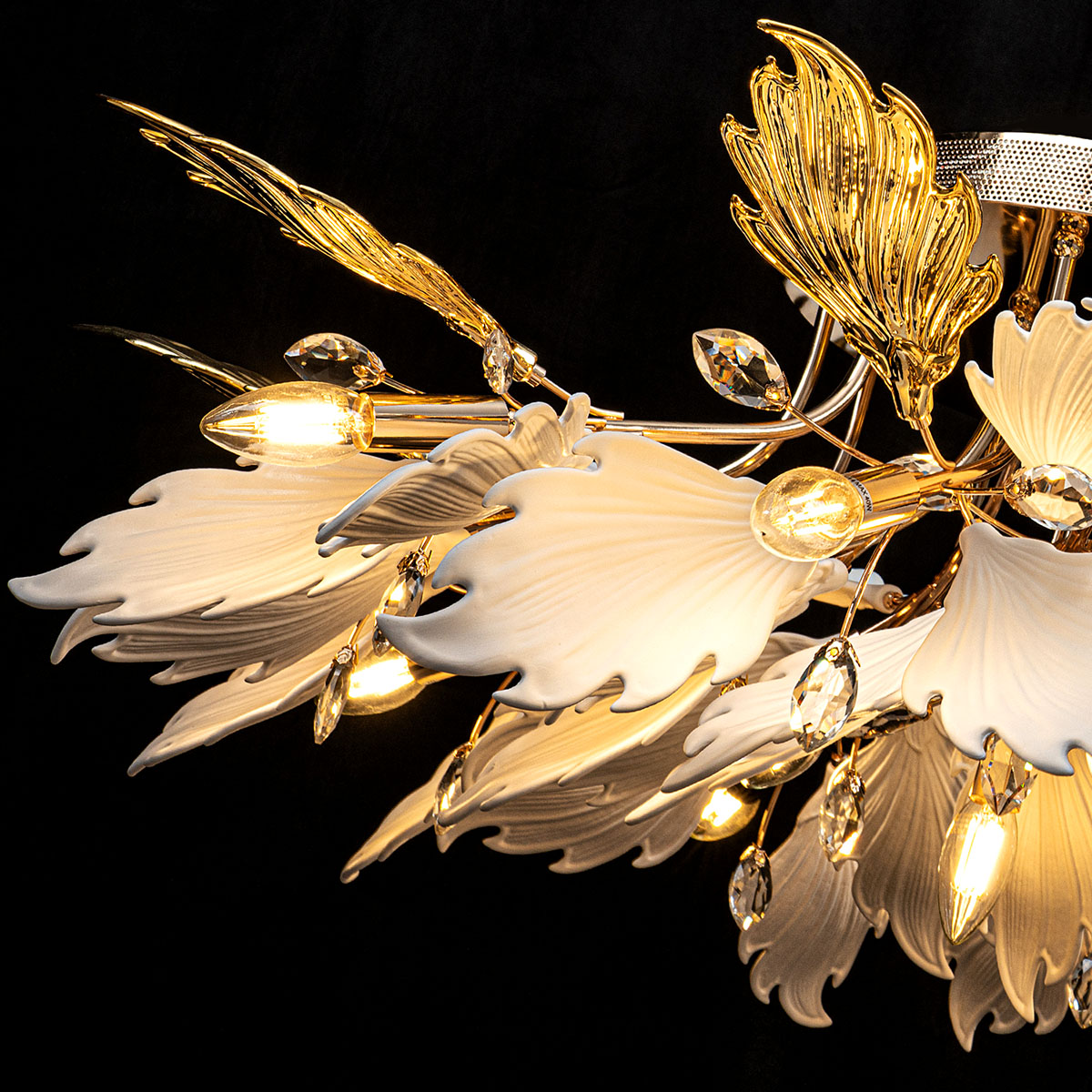 ML.6869.1000 GD (6).jpg