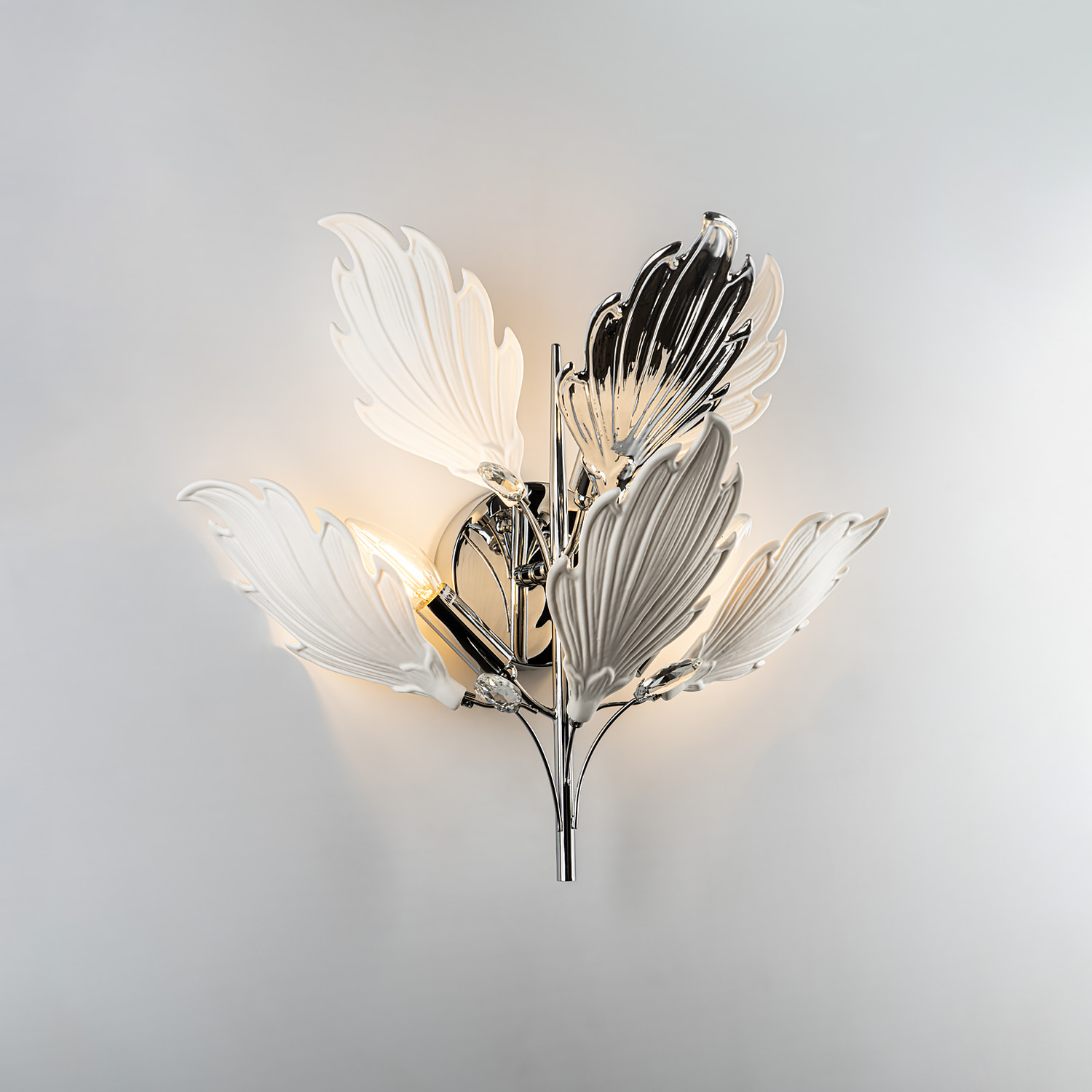 ML.6869.450 CR (2).jpg