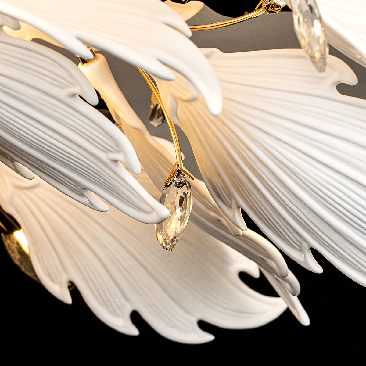 ML.6869.1000 GD (11).jpg