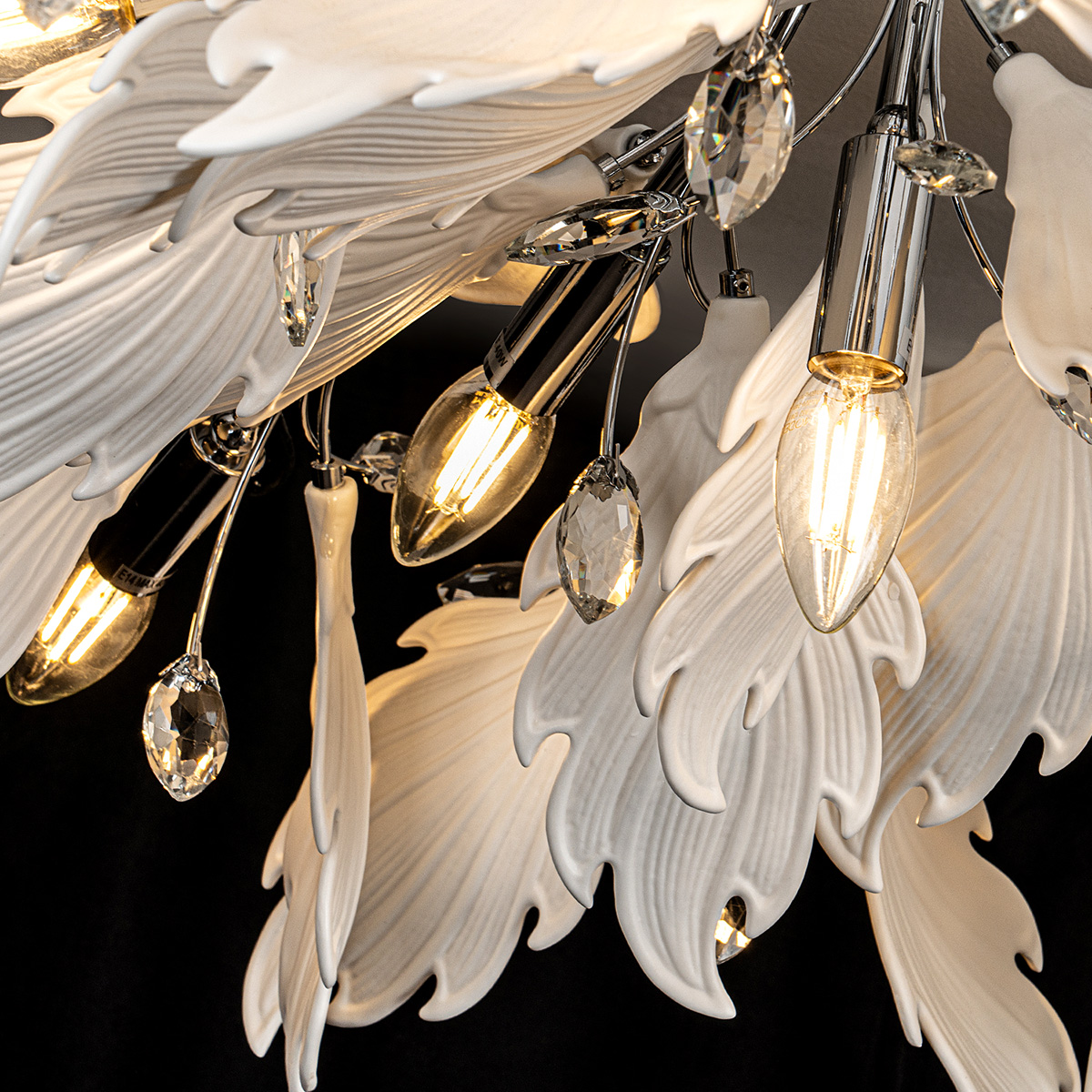 ML.6869.1000 CR (8).jpg