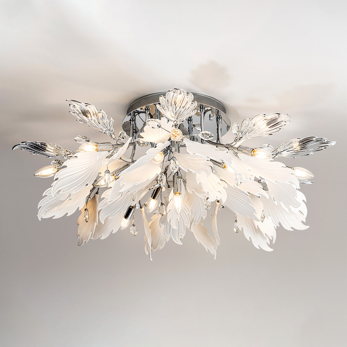 ML.6869.1000 CR (2).jpg