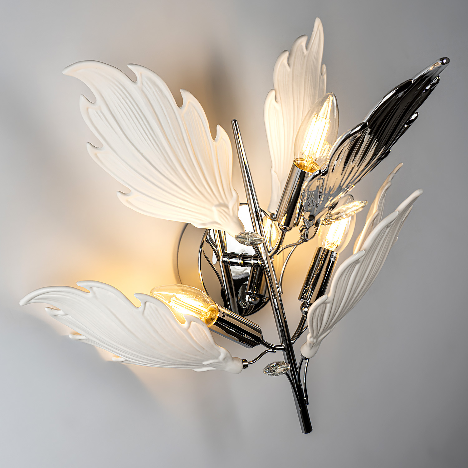 ML.6869.450 CR (4).jpg