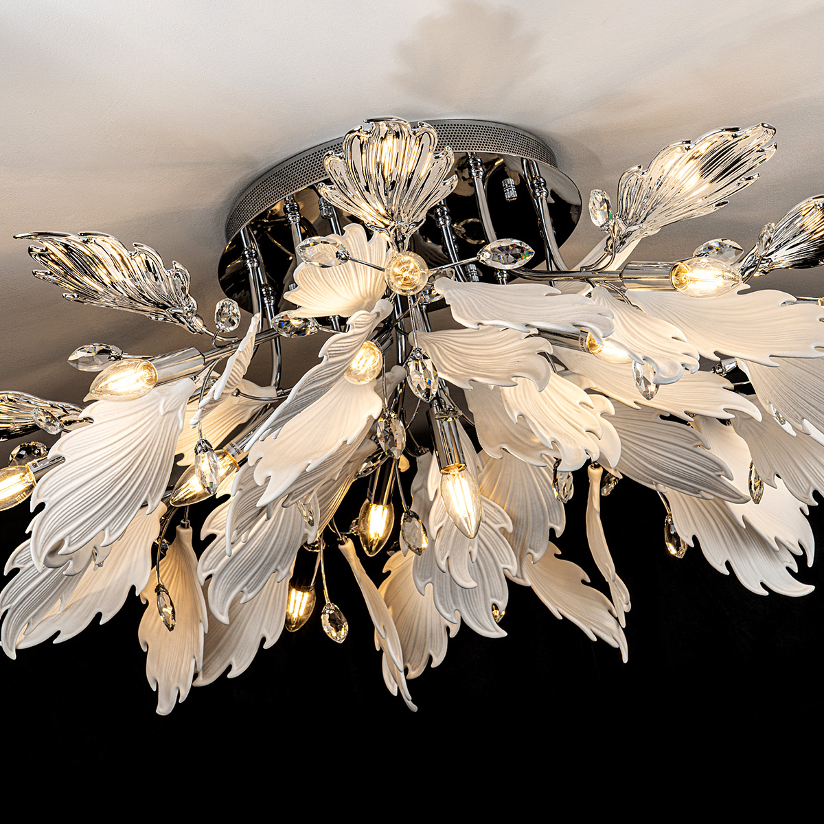 ML.6869.1000 CR (7).jpg