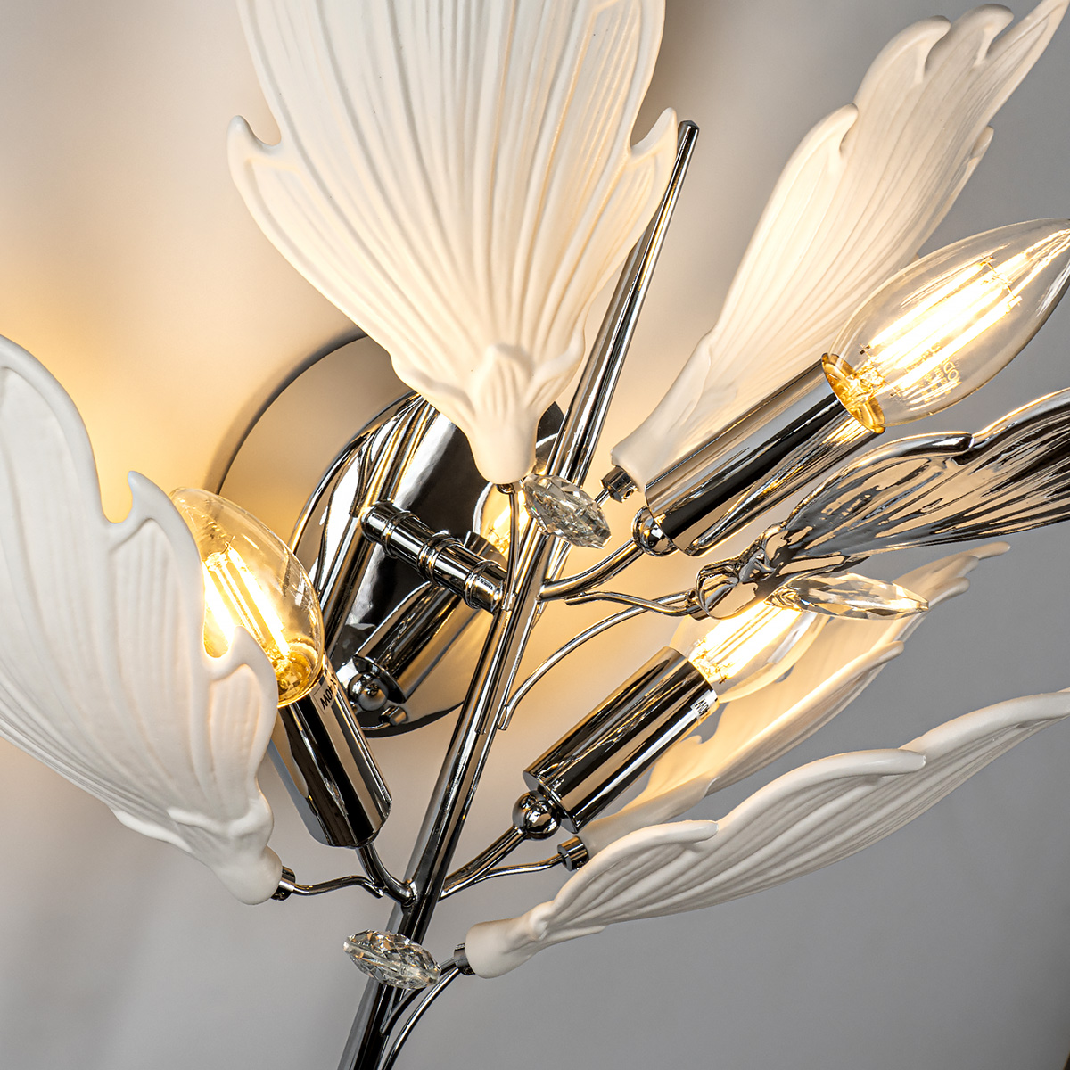 ML.6869.450 CR (5).jpg