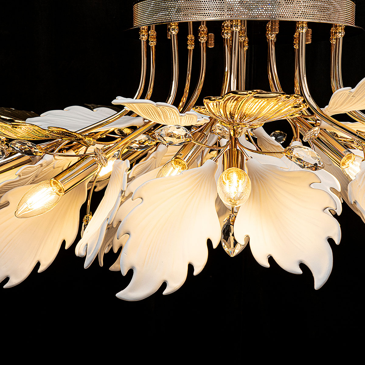 ML.6869.1000 GD (5).jpg