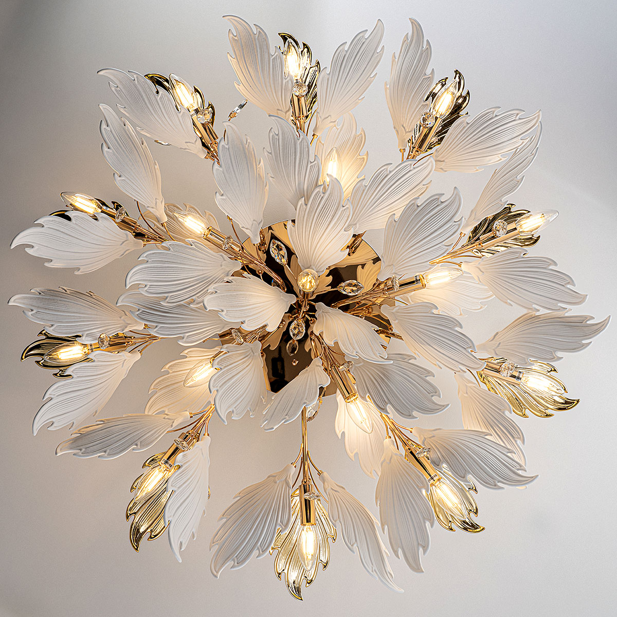 ML.6869.1000 GD (8).jpg