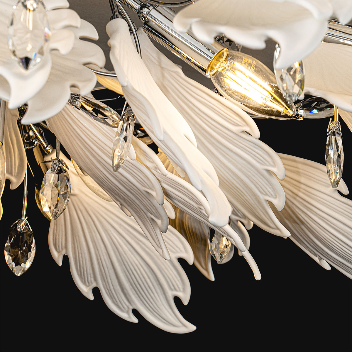 ML.6869.850 CR (9).jpg