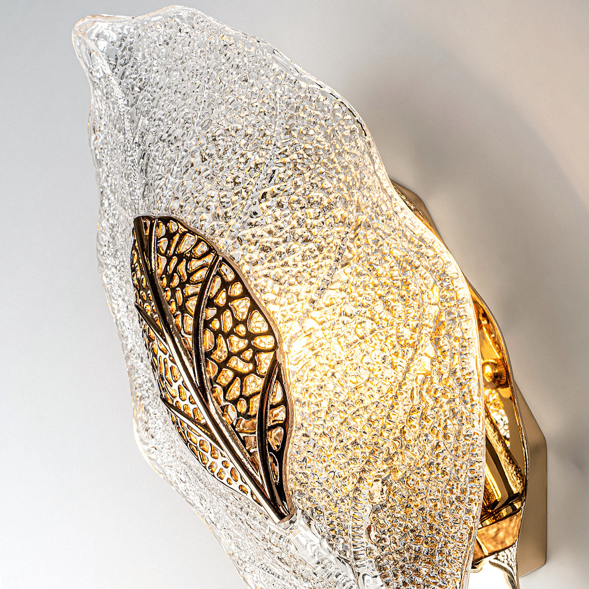 MS.250.01 GD (6).jpg