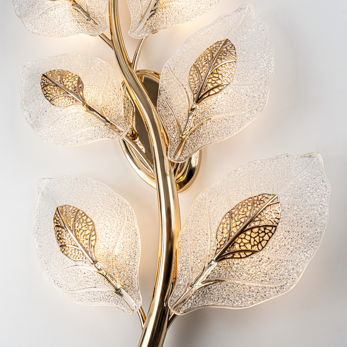 MS.250.07 GD (4).jpg