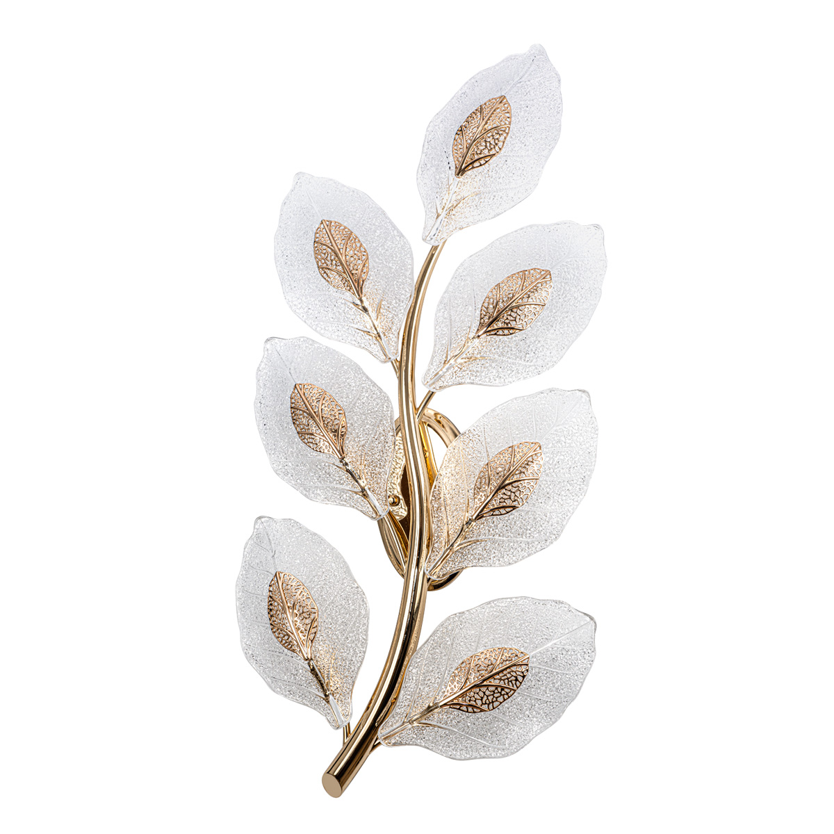 MS.250.07 GD (3_).jpg