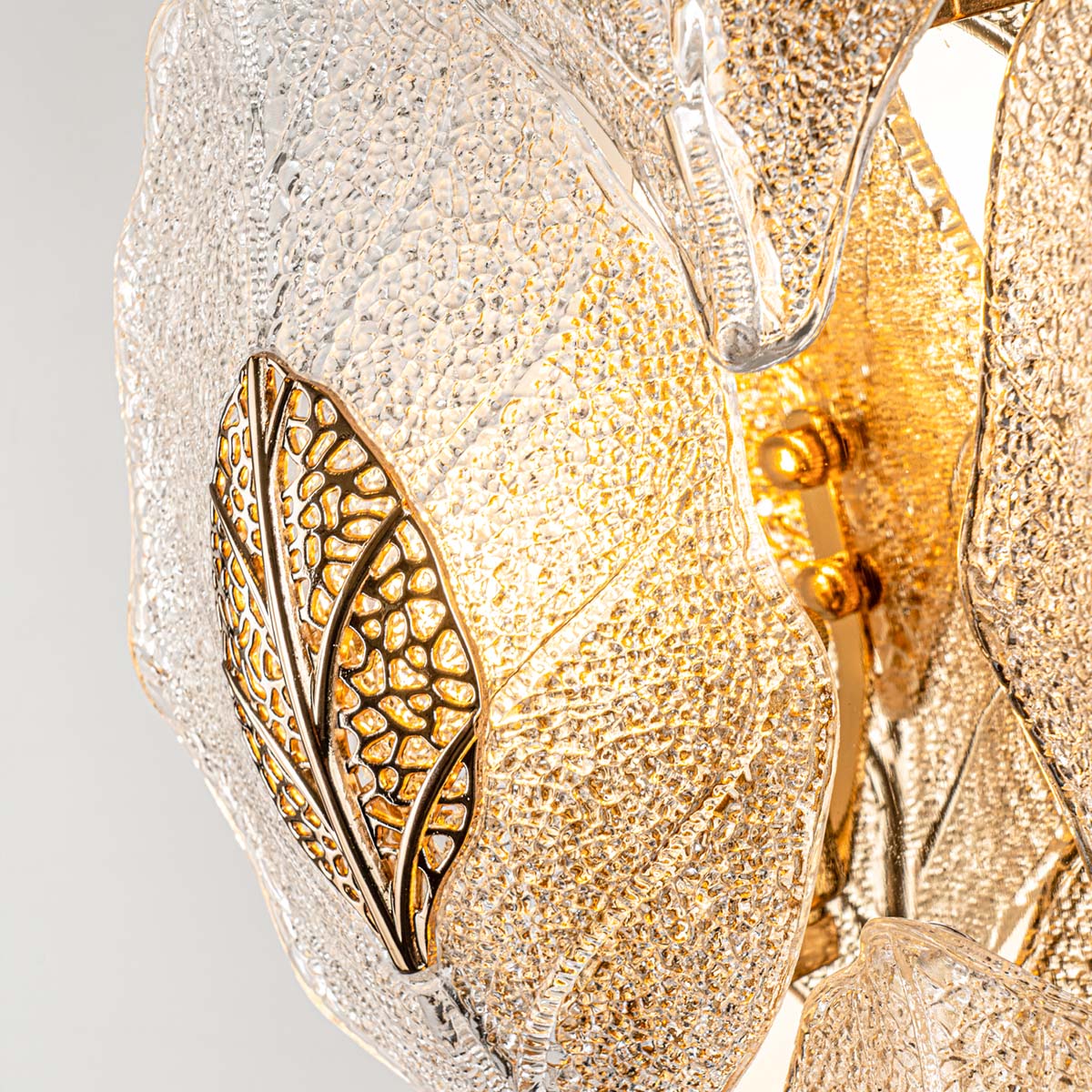 MS.250.04 GD (6).jpg