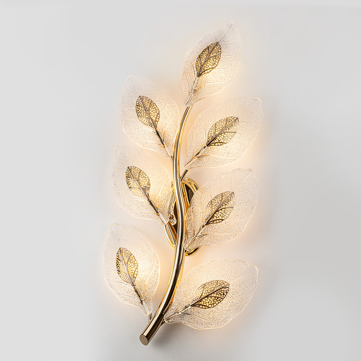 MS.250.07 GD (2).jpg