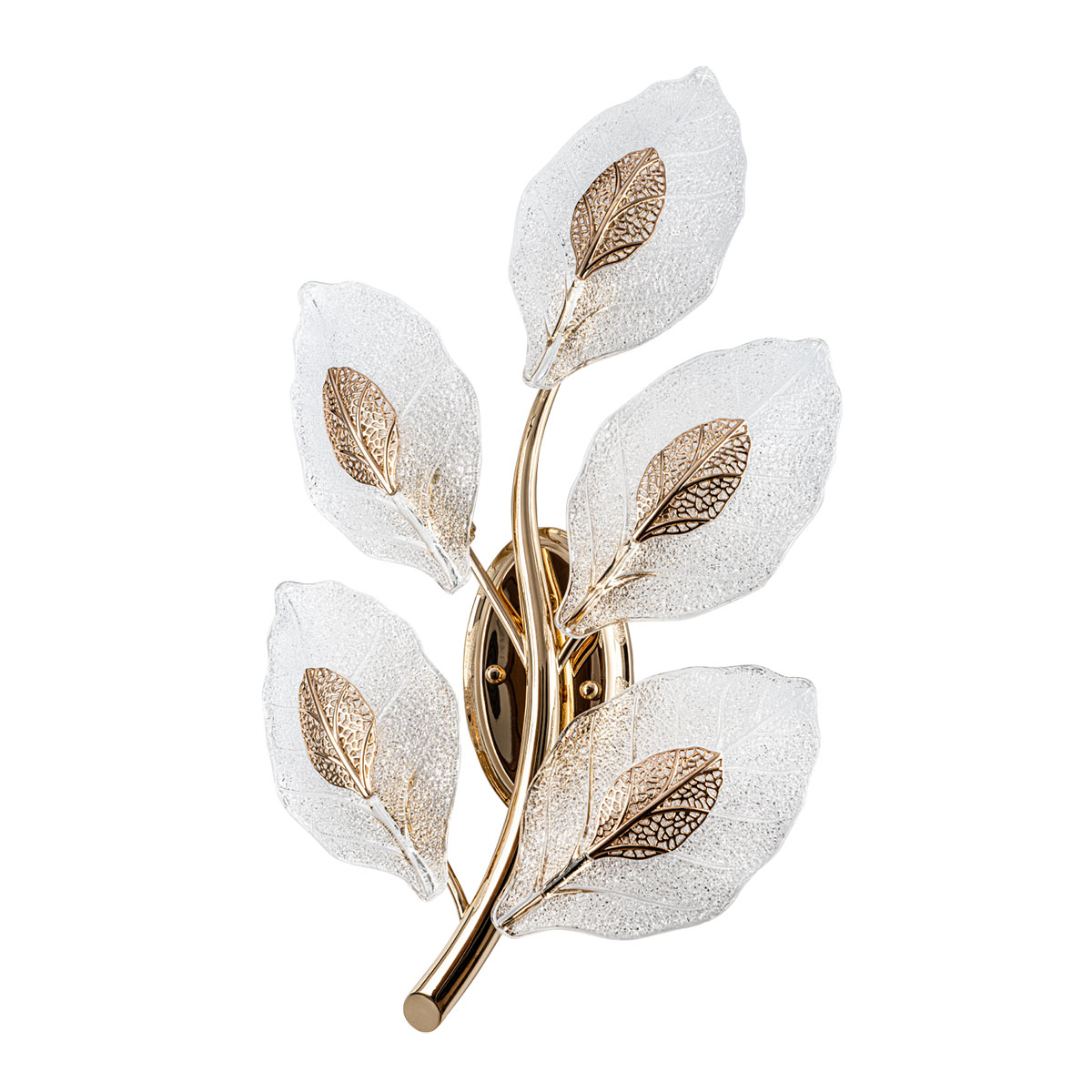 MS.250.05 GD (3).jpg