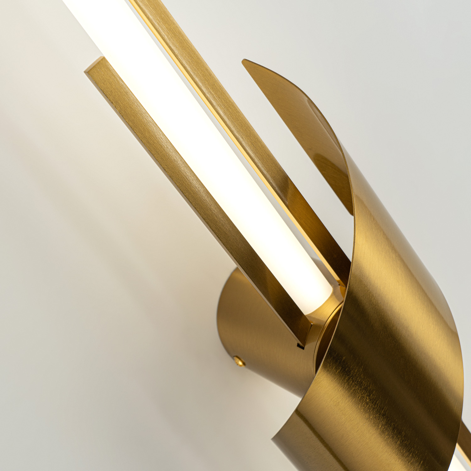 ML.655.850 BS (4).jpg