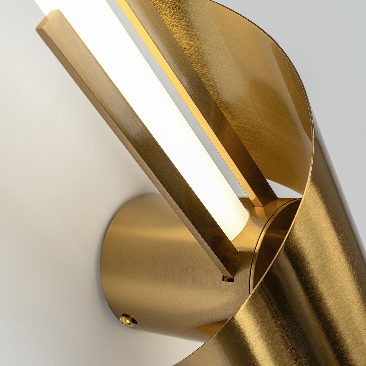 ML.655.650 BS (4).jpg