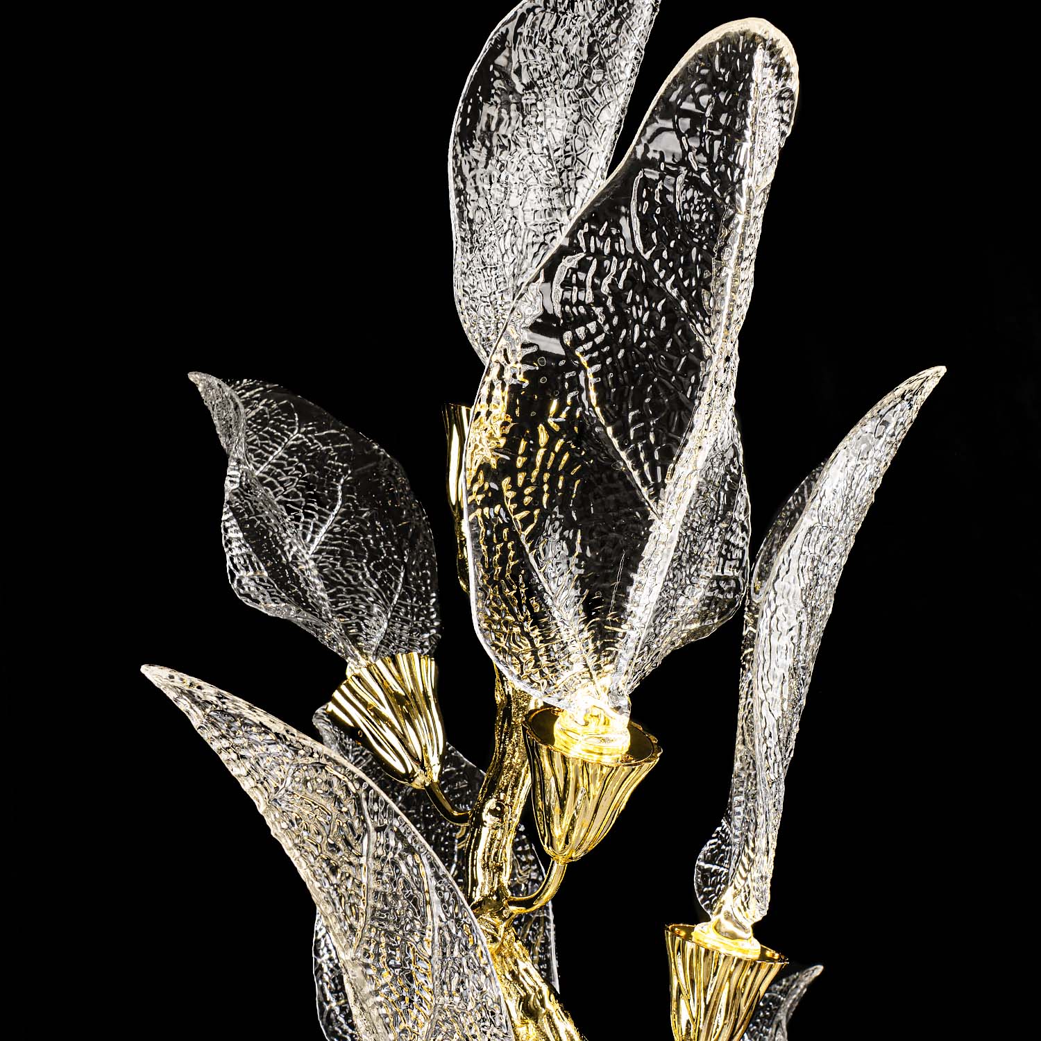 ML.6800.08FLP (3).jpg