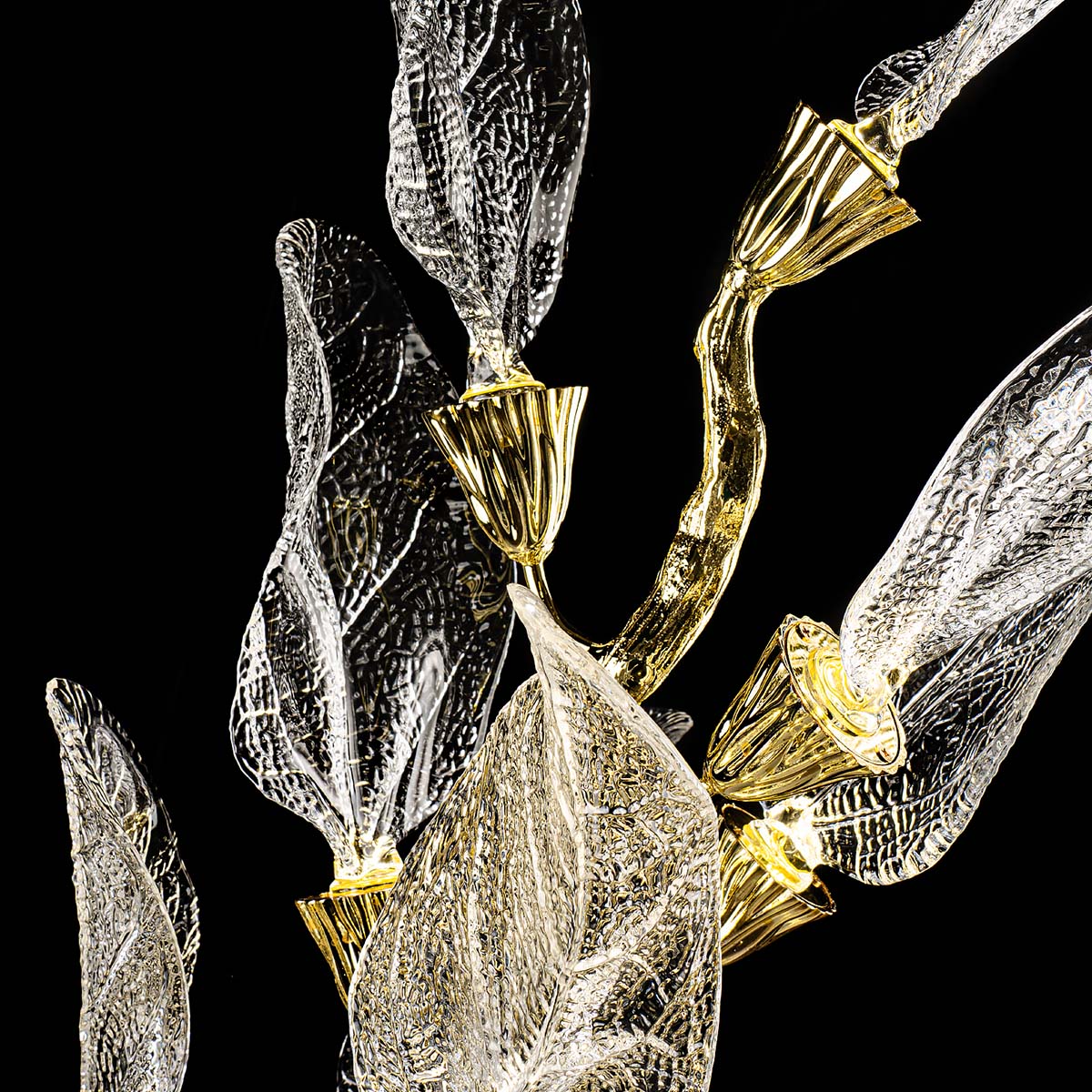 ML.6800.08FLP (6).jpg