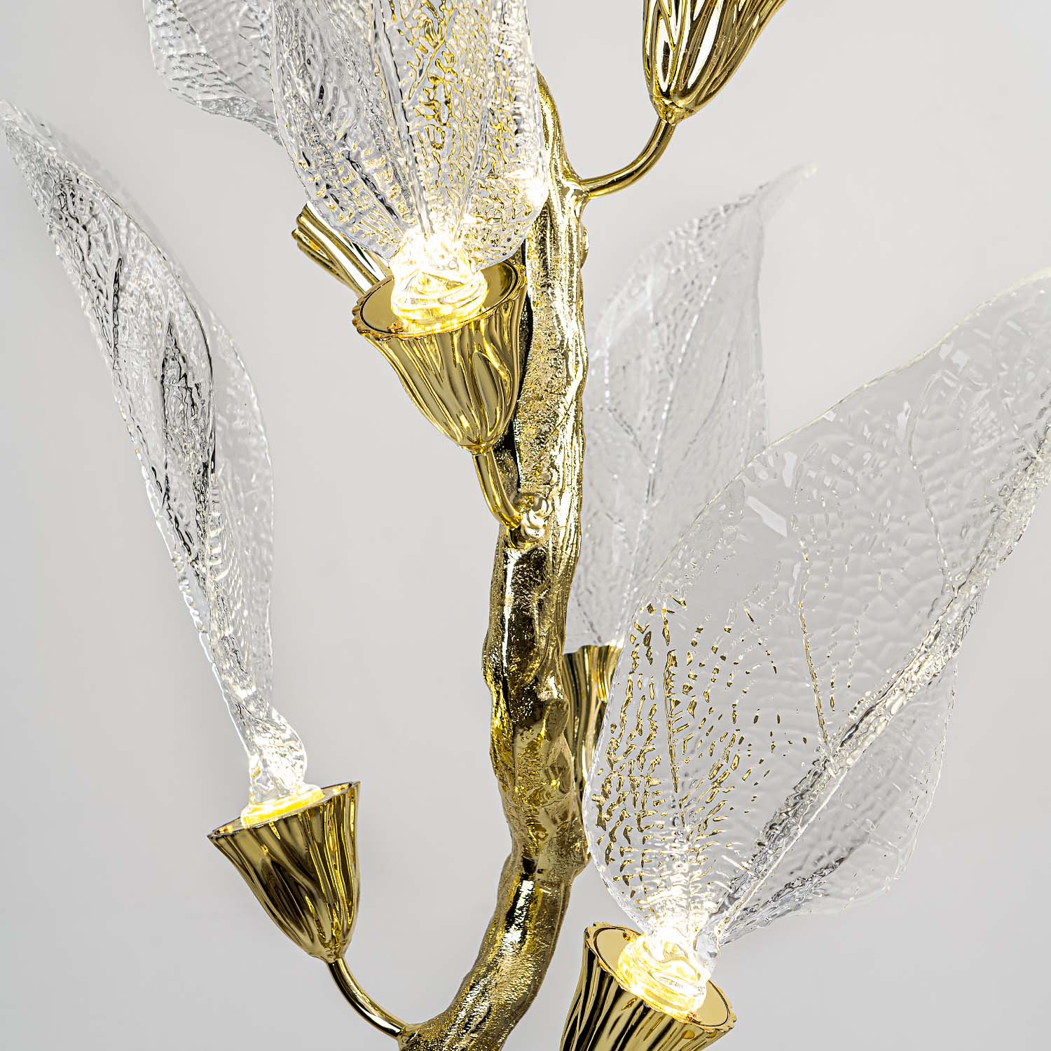 ML.6800.08FLP (7).jpg