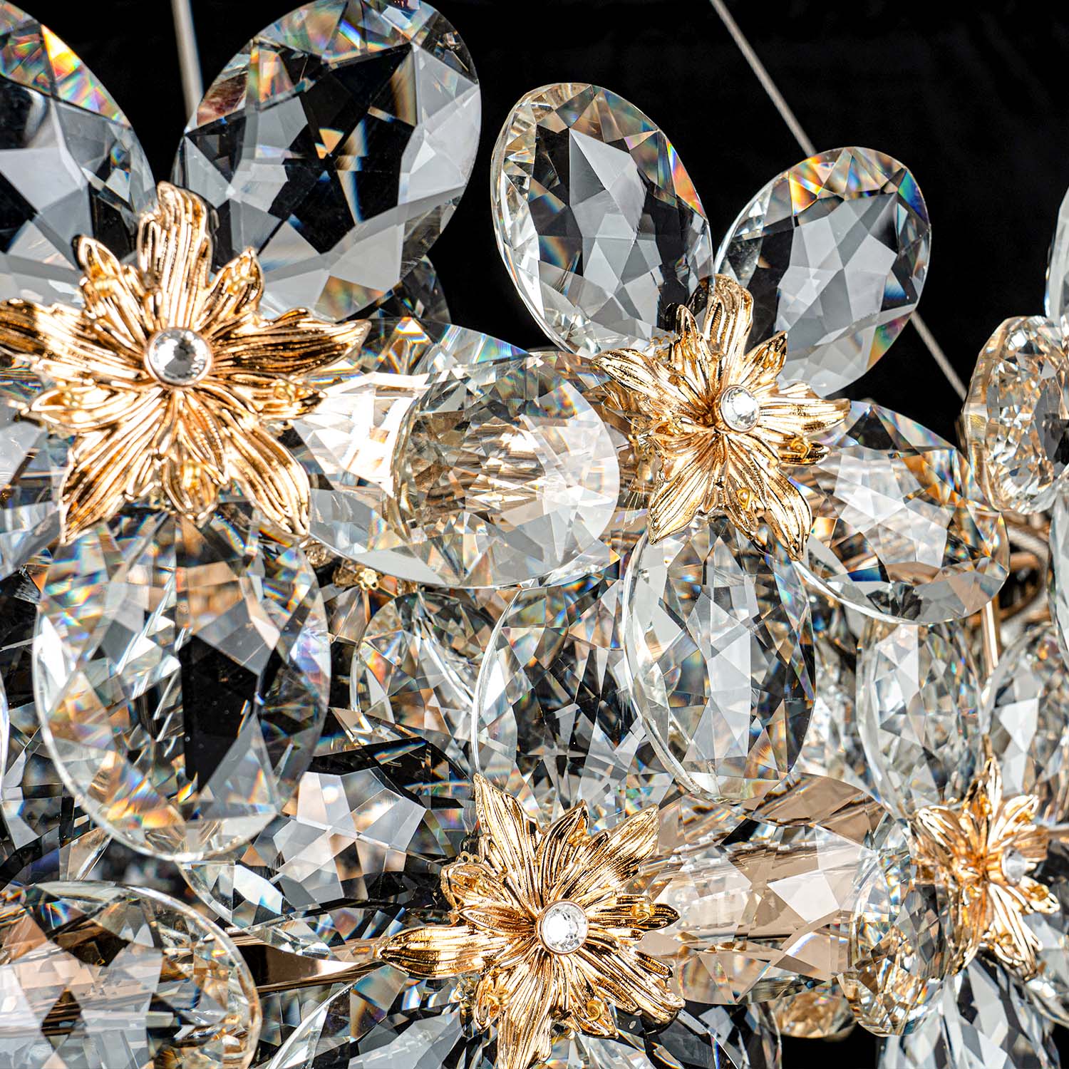 ML.9520.800 GD (5).jpg