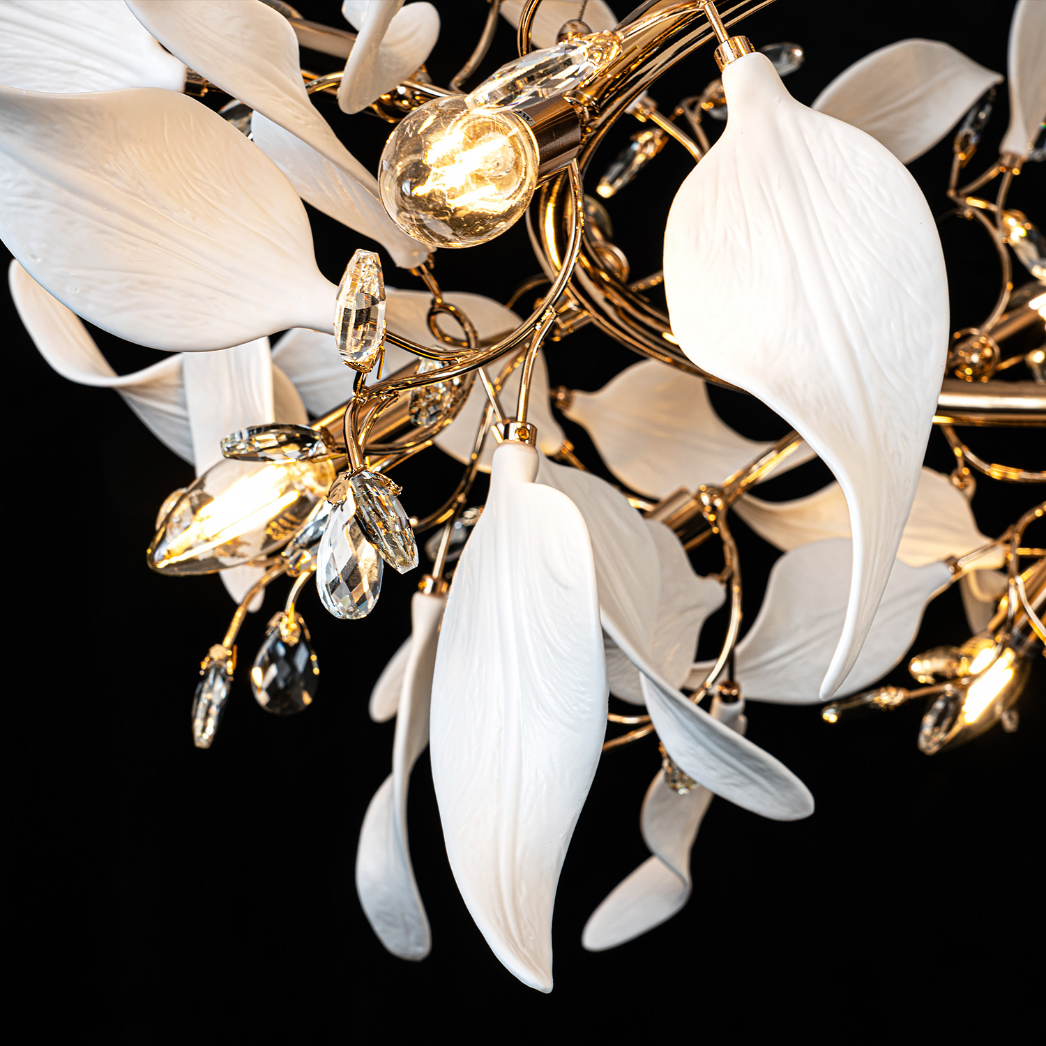 ML.6808.1000P GD (3).jpg