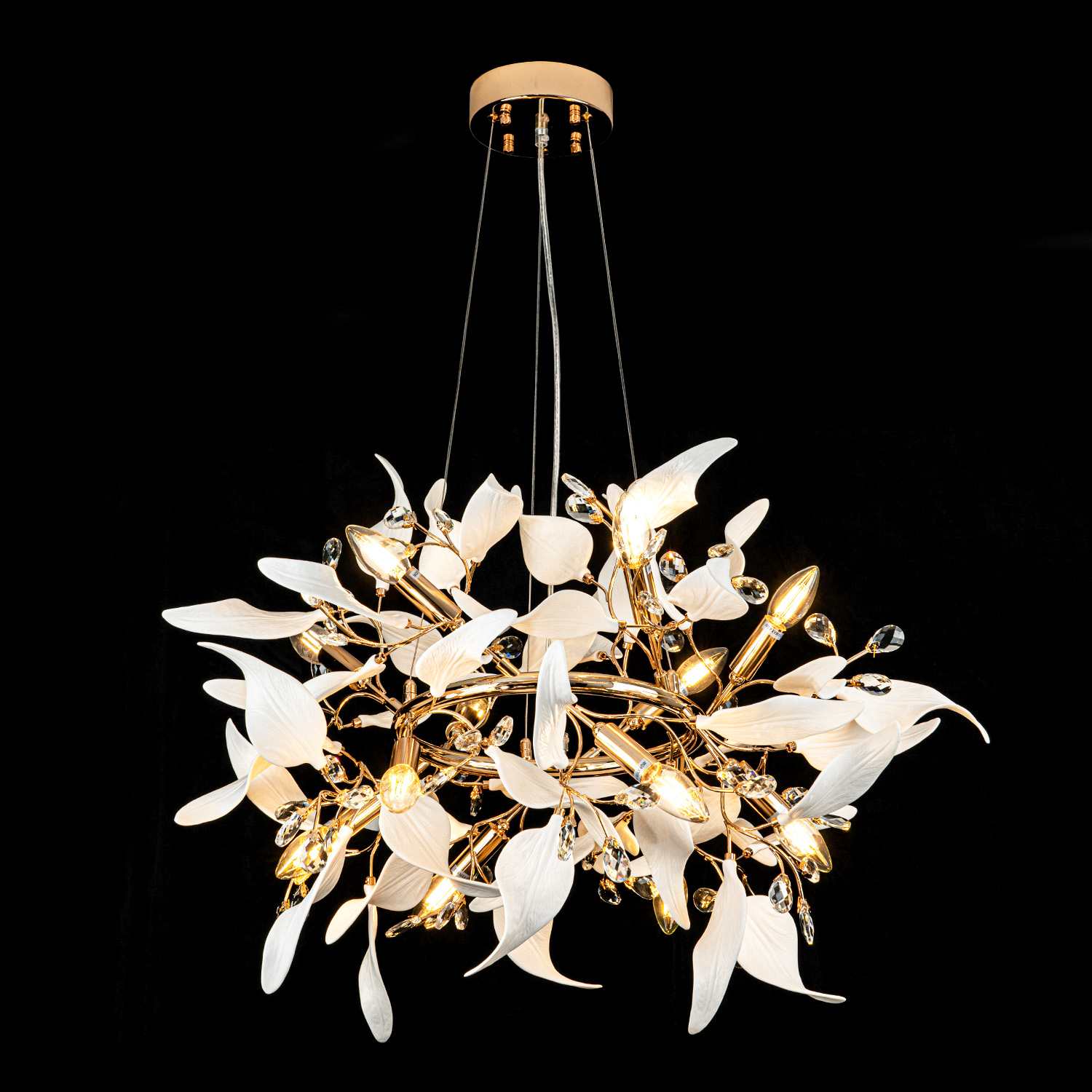 ML.6808.800P GD (2).jpg