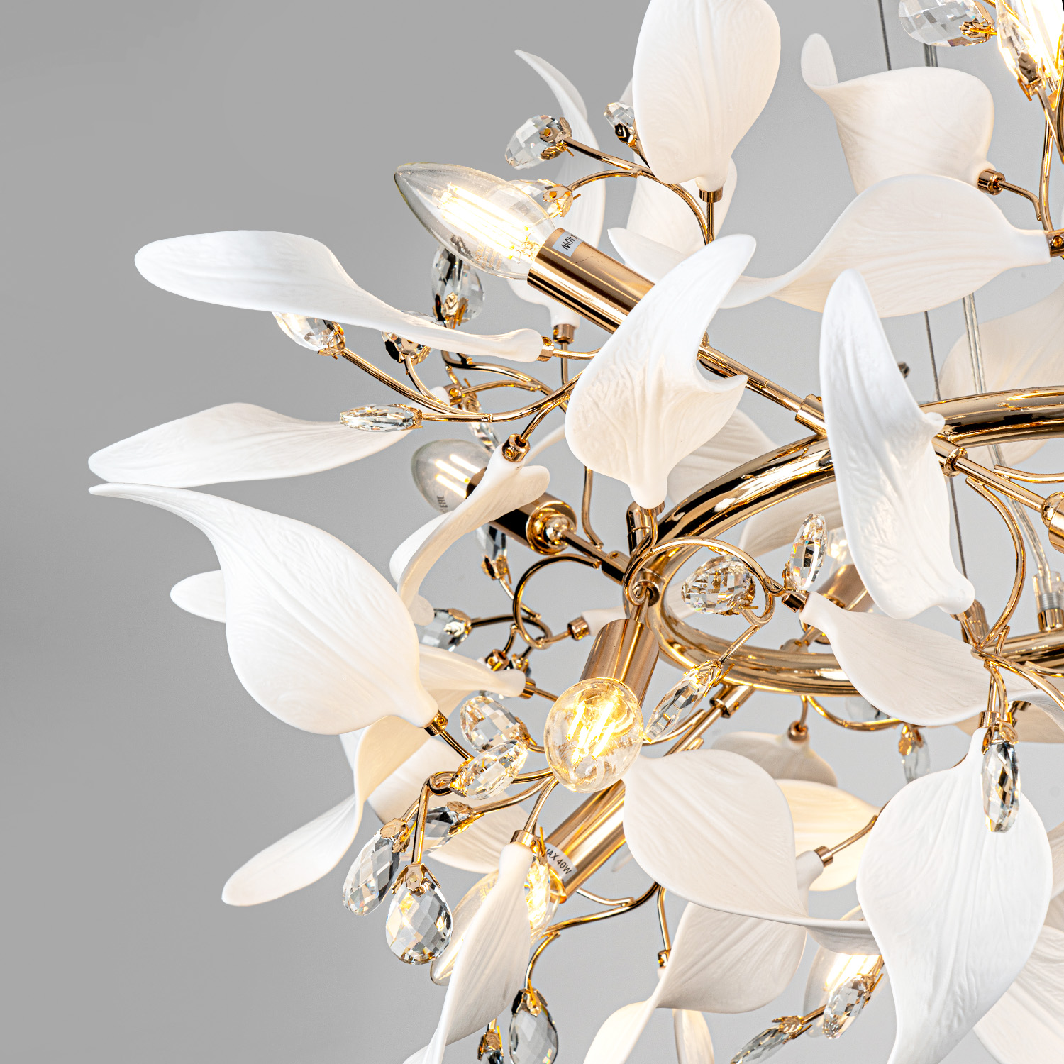 ML.6808.800P GD (6).jpg