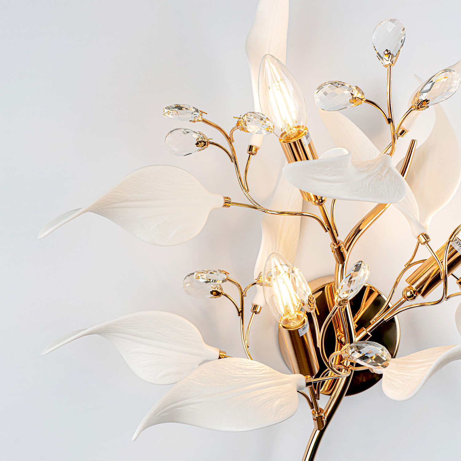 ML.6808.450P GD (3).jpg