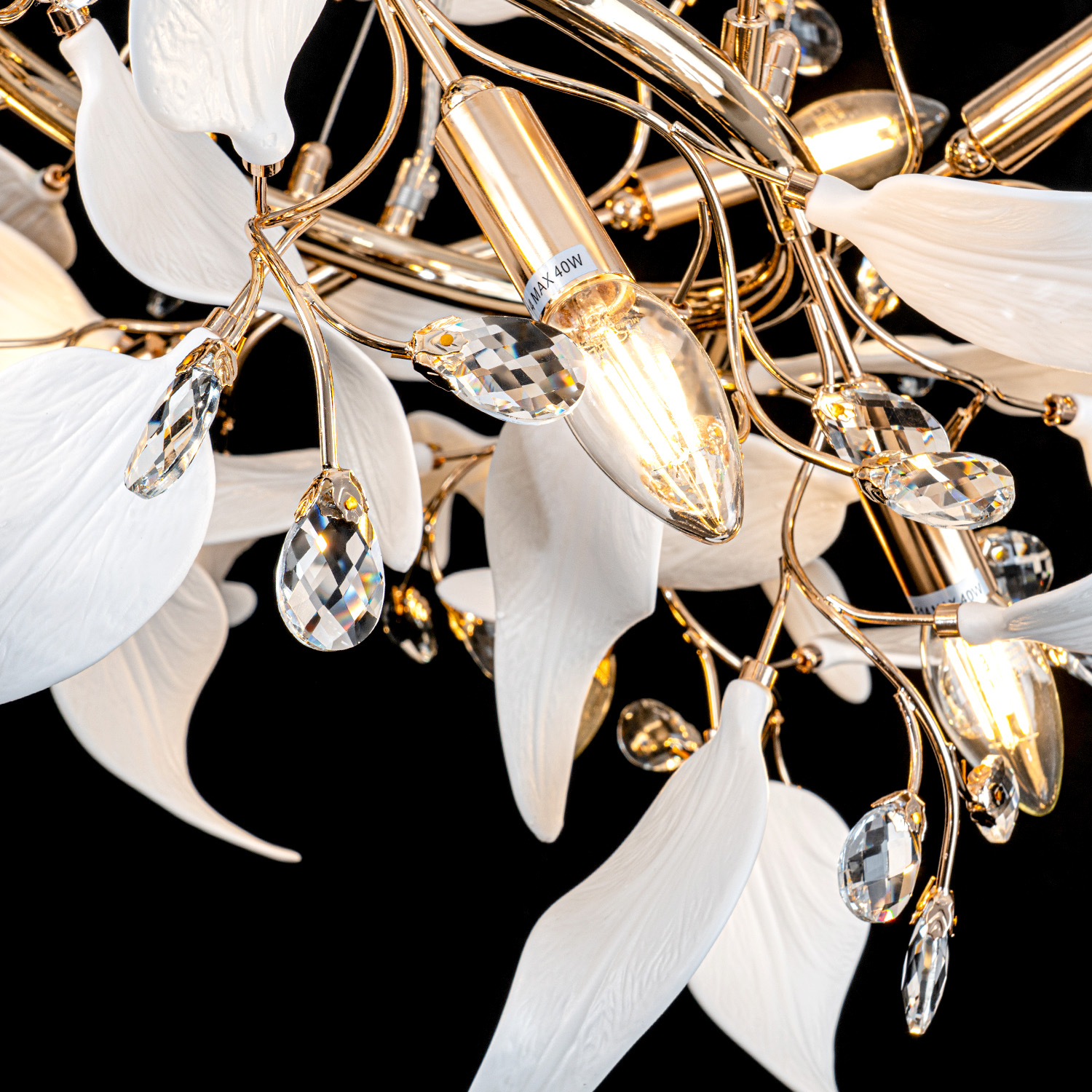 ML.6808.800P GD (5).jpg