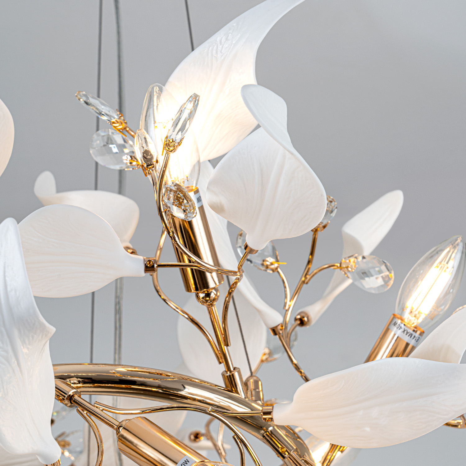 ML.6808.800P GD (7).jpg