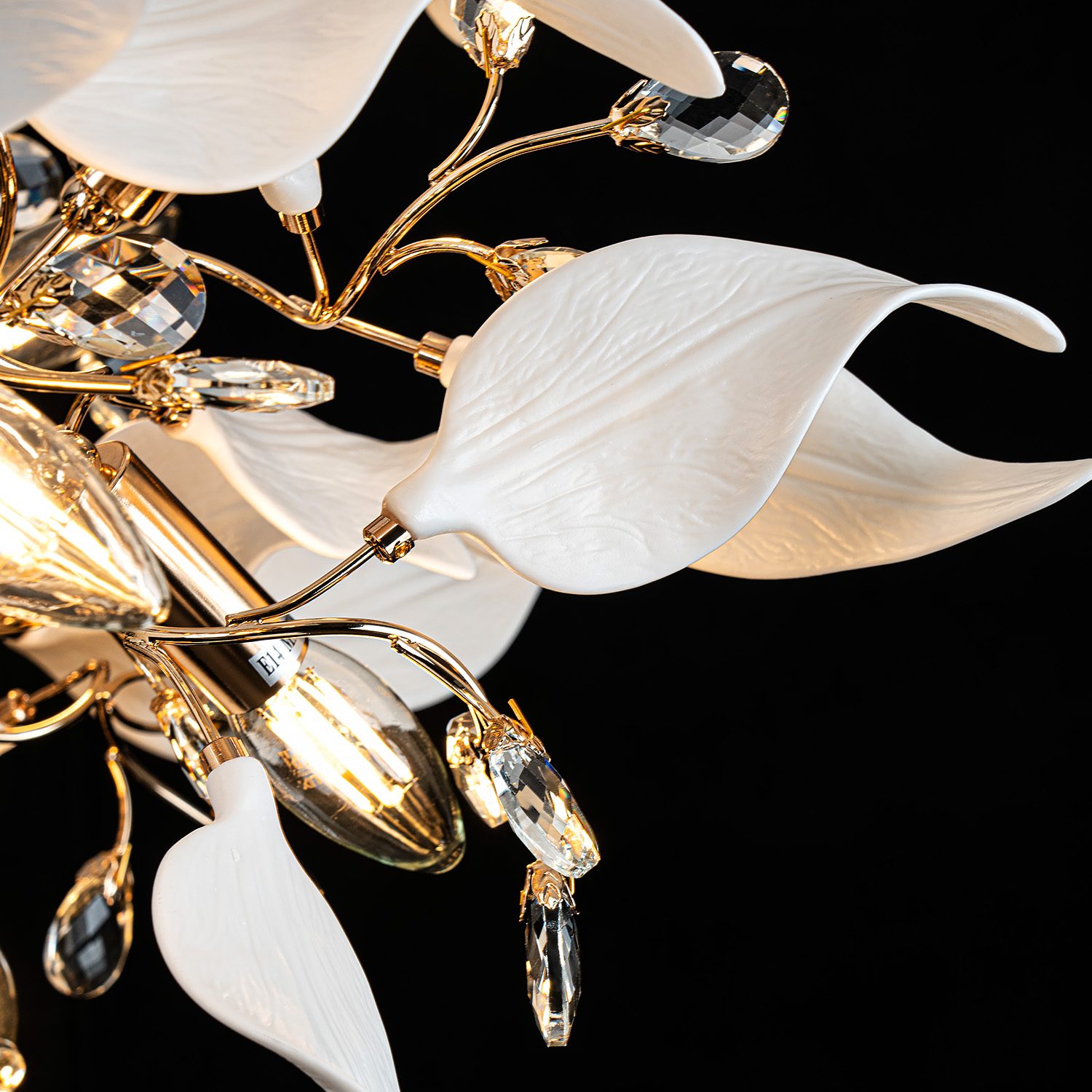 ML.6808.1000P GD (4).jpg