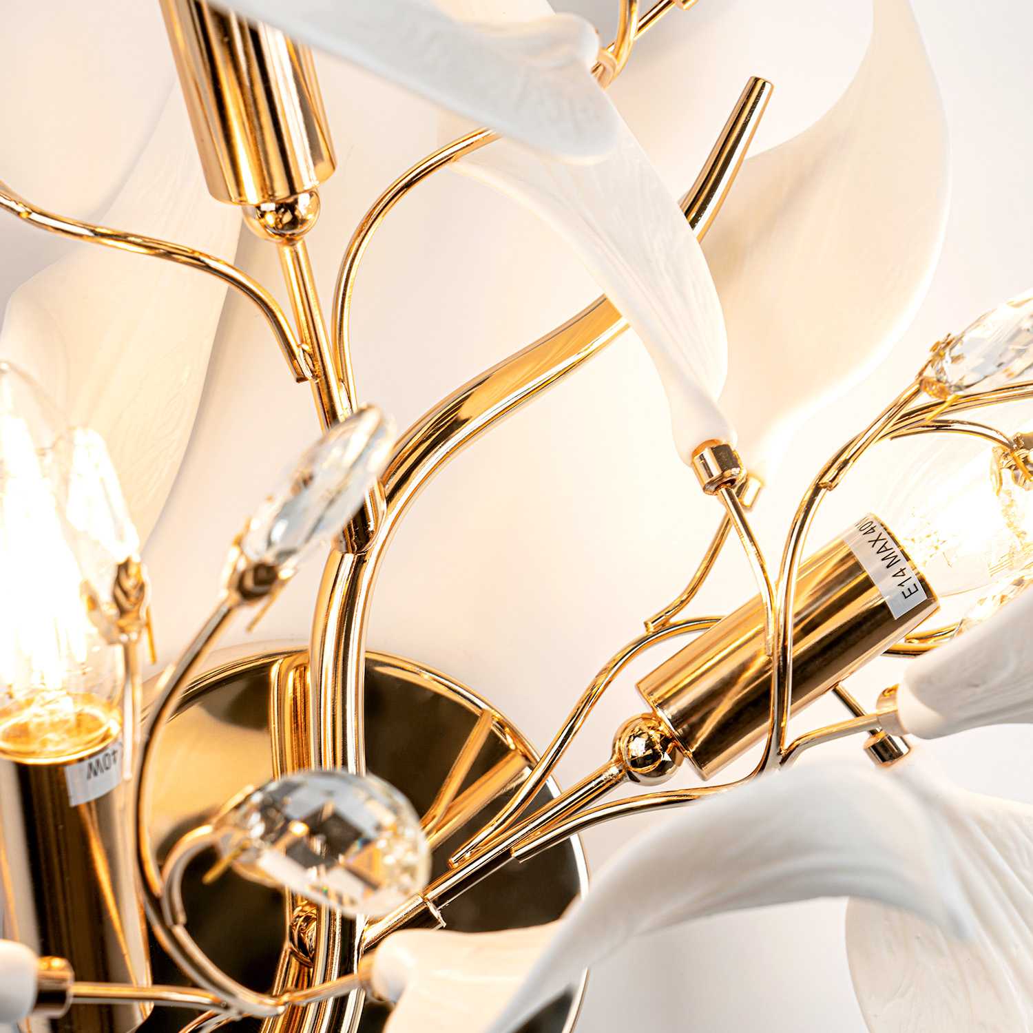 ML.6808.450P GD (5).jpg